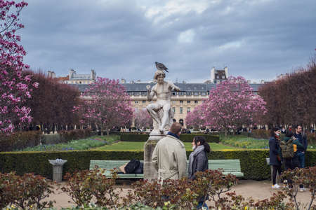 Paris, France 13-03-2021: garden of the royal palace during the spring with beautiful rosesのeditorial素材