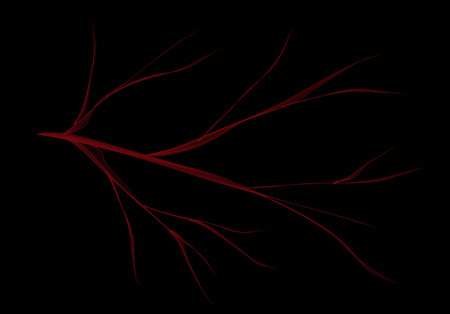 Red veins on black background. Computer digital drawing.の写真素材