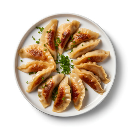Gyoza on plate isolated on white backgroundの素材