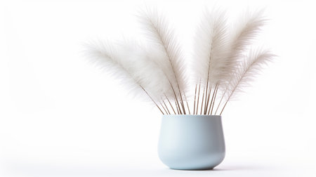 Photo of Feather Reed Grass flower in pot isolated on white backgroundの素材