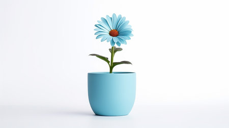 Photo of Tweedia flower in pot isolated on white backgroundの素材