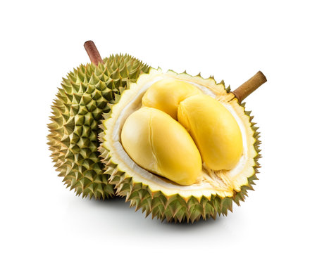 Photo of Durian isolated on white backgroundの素材