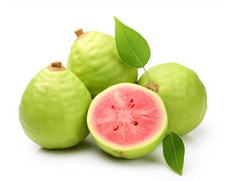 Photo of Guava isolated on white backgroundの素材