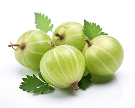 Photo of Otaheite gooseberry isolated on white backgroundの素材