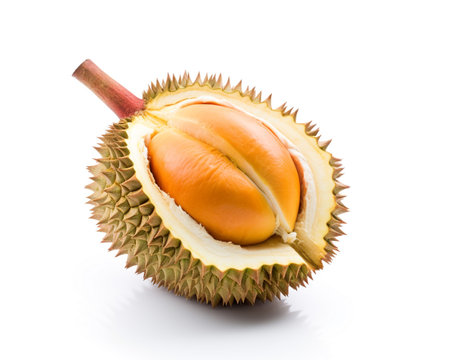 Photo of Red durian isolated on white backgroundの素材