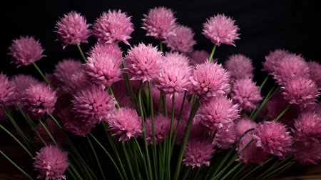 Photo of Chivesの素材