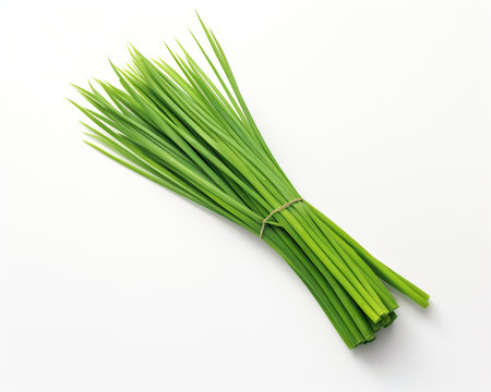 Lemongrass isolated on white backgroundの素材