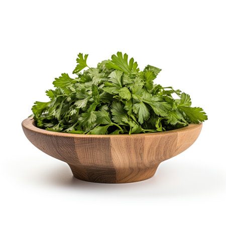 Photo of Dried Cilantro in minimalist brown bowl isolated on white backgroundの素材