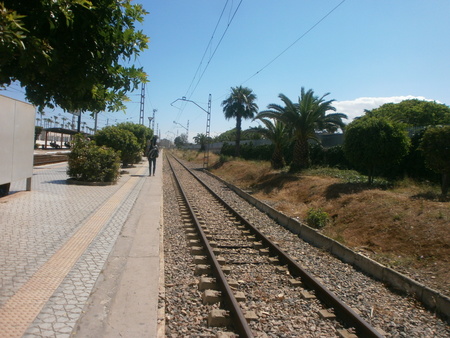 Railway with treesのeditorial素材