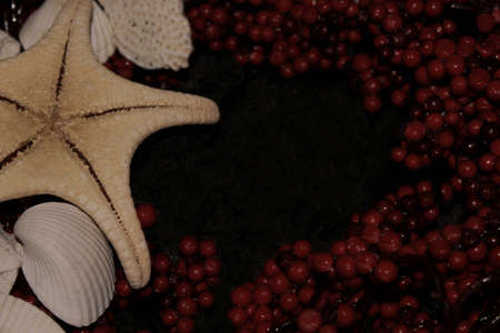 border black background berries, starfish, shellsの写真素材