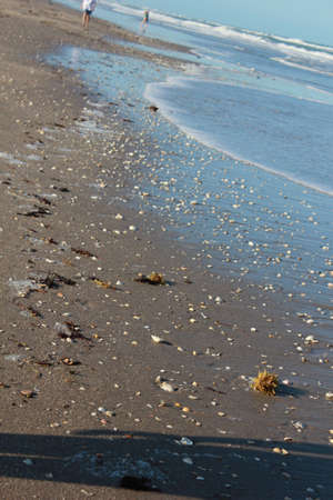 beach walkers 