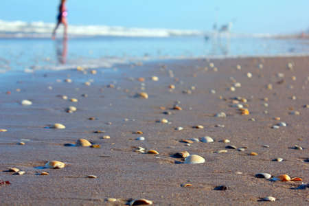 shells on beach waves and walkers in background