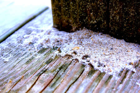 sand on boardwalk after rain closeupの写真素材