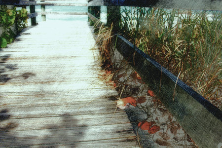 soft warm boardwalk to beach backgroundの写真素材