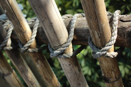 bamboo and rope fence