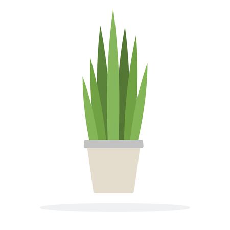 Bushes potted plant vector flat material design isolated on whiteのイラスト素材