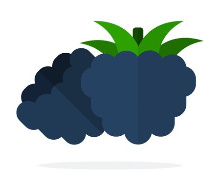 Blackberry berries with leaves vector flat material design isolated on whiteのイラスト素材