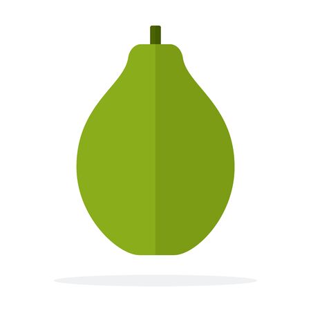 Whole papaya vertically vector flat material design isolated on whiteのイラスト素材