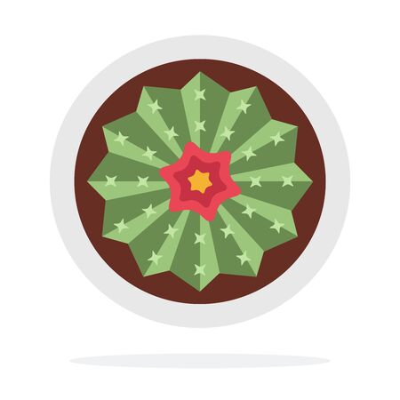 Flowering cactus in a pot view from above vector flat material design isolated on whiteのイラスト素材
