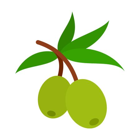 Branch of olives with leaves vector flat material design isolated on whiteのイラスト素材