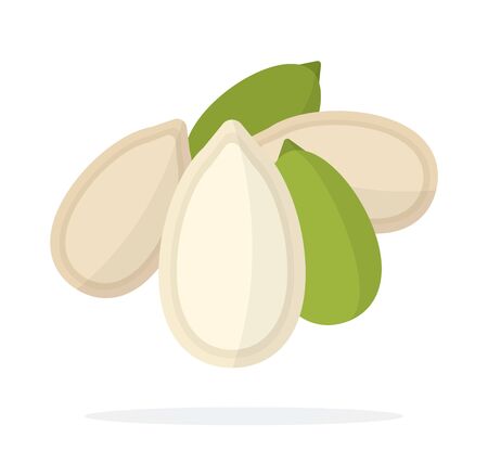 Pile of pumpkin seeds in shell and peeled pumpkin seed kernels vector flat material design isolated on whiteのイラスト素材