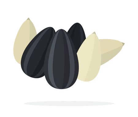 Sunflower seeds in shell and peeled sunflower seeds vector flat material design isolated on whiteのイラスト素材