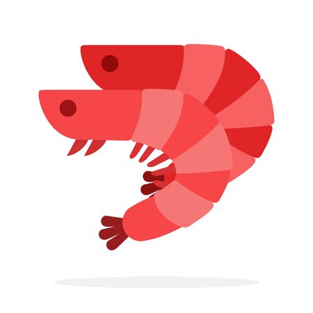 Raw large shrimps vector flat material design isolated on whiteのイラスト素材
