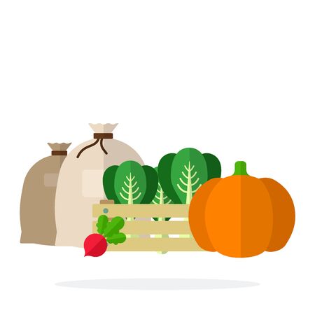 Pumpkin, Chinese cabbage in a box, beets and textile bags with contents flat isolatedのイラスト素材