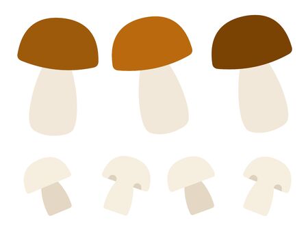 White mushrooms and champignons flat icon vector isolatedのイラスト素材
