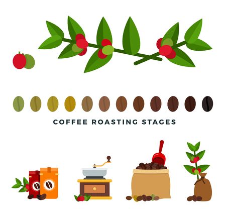 Coffee roasting stages flat style vector illustration.のイラスト素材