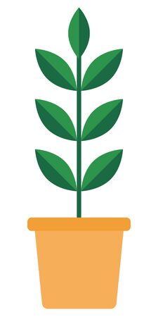 Green plant in a ceramic pot vector icon flatのイラスト素材