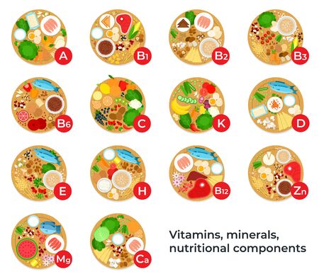 Vitamins, minerals, nutritional components food flat vector icons.のイラスト素材