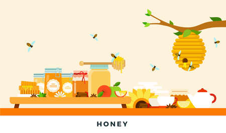 Honey products vector flat illustrations. Organic and natural honey.のイラスト素材