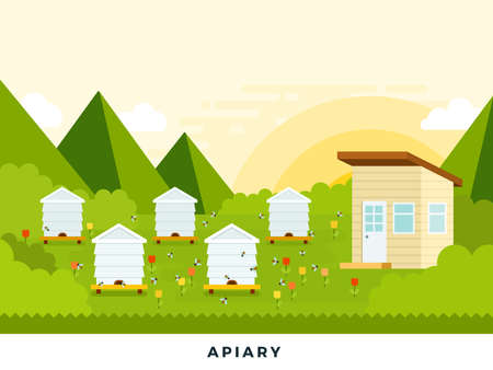 Apiary on a flower meadow at dawn vector flat illustration. Isolated on white background.のイラスト素材
