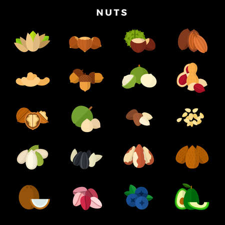 Nuts of all kinds. Set of various nuts, grains and seeds. Vector illustration on dark background