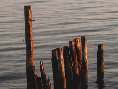 Facing the Sunの写真素材