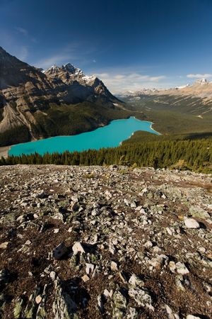 Majestic glacier-fed Peyto Lake in the Rocky Mountains, Banff National Park, Alberta, Canada.の写真素材
