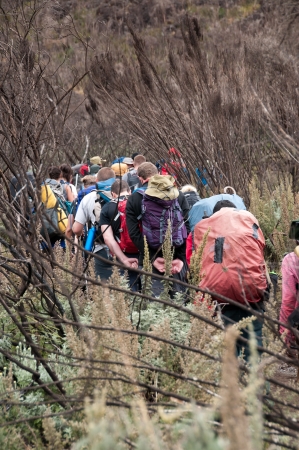 A group of trekkers on the lower slopes of Kilimanjaroの写真素材