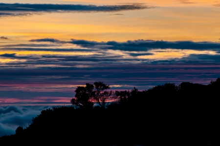 The sunrising over bushes at Kikelelwa Cave Campsite on Kilimanjaroの写真素材