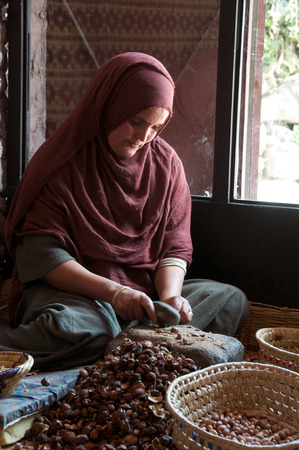 Traditional method of producing Argan oils, a Berber lady working with Argan nuts to extract the kernel in a womens cooperative in Imlil in Moroccoのeditorial素材