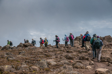A group trekking on Kilimanjaroのeditorial素材