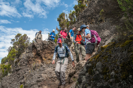 Group moving up Shira Ridge on Machame Route towards Camp 2のeditorial素材