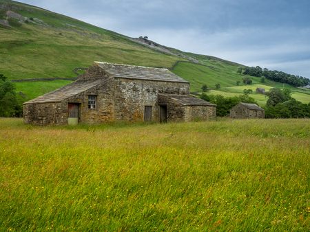 Swaledale in the Yorkshire Dales National Park Its upper parts are particularly striking because of its large old limestone field barns , stone walls and its profusion of wild flowersの写真素材