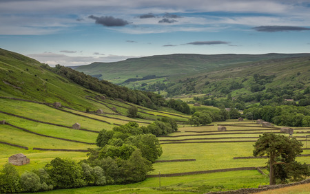 Swaledale in the Yorkshire Dales National Park Its upper parts are particularly striking because of its large old limestone field barns , stone walls and its profusion of wild flowersの写真素材
