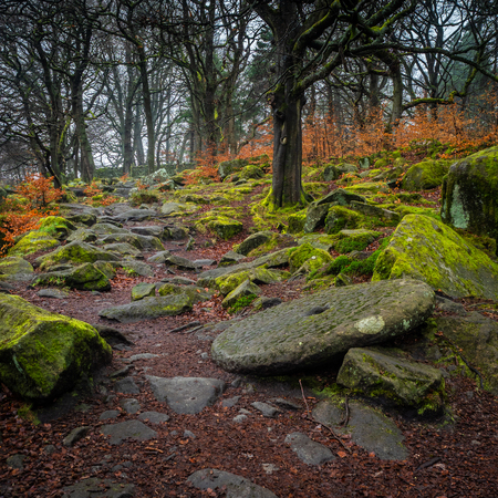 Padley Gorge was for centuries one of Englandâs premier sources of these stones, used mainly by corn-mills and the Sheffield cutlery industryの写真素材