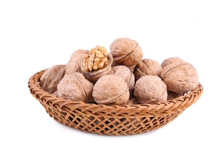 Fresh walnuts in closeup isolated on white backgroundの写真素材