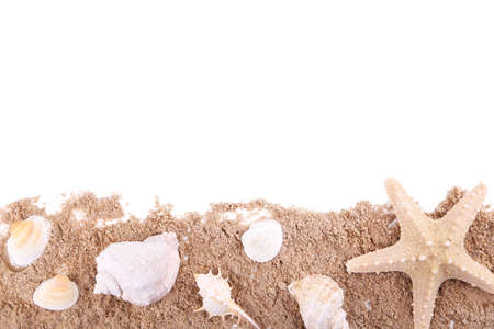 Shells on a pile of sand isolated over white, top view