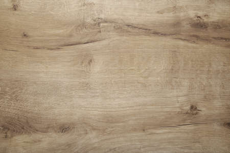 Gardening tools on gray concrete background. Spring conceptの写真素材