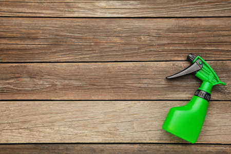 Gardening tools on gray concrete background. Spring concept
