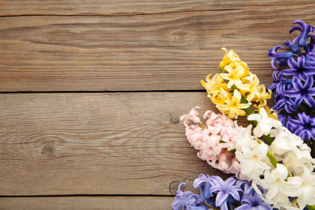 Bunch of hyacinths flower on a gray wooden background. Spring conceptの写真素材